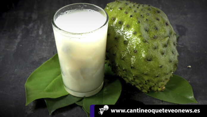 conoce los beneficios de la guanabana Cantineoqueteveonews - conoce los beneficios de la guanabana una fruta saludable y deliciosa