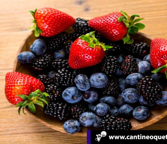 Alimentos para prevenir la inflamación ¡Entérate aquí cuales son! Cantineoqueteveo News - Alimentos para prevenir la inflamación