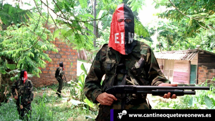 Cantineo-WEB-ELN-de-Colombia-se-apodera-de-15-fincas-en-territorio-de-Venezolano ELN-de-Colombia-N24C