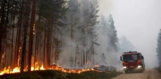 ¡Alerta! Calor desata el miedo en Europa debido a altas temperaturas Cantineoqueteveonews - Este lunes; los termómetros estaban a más de 40 grados centígrados en algunas zonas lo cual desata el miedo en Europa