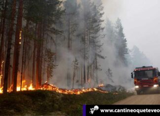 ¡Alerta! Calor desata el miedo en Europa debido a altas temperaturas Cantineoqueteveonews - Este lunes; los termómetros estaban a más de 40 grados centígrados en algunas zonas lo cual desata el miedo en Europa