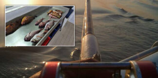 Detenido pescador oculto que presumia sus capturas de pescado en redes detienen pescador-Cantineoqueteveonews