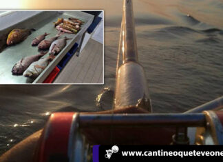 Detenido pescador oculto que presumia sus capturas de pescado en redes detienen pescador-Cantineoqueteveonews