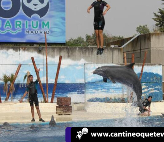 Por maltrato a delfines es investigado el zoo Aquarium de Madrid Cantineoqueteveonews - Investigana Zoo Aquarium de madrid por maltrato a delfines