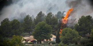 Incendio forestal entre el Perelló y Rasquera devasta 200 hectáreas incendio en perellón devasta 200 hectareas