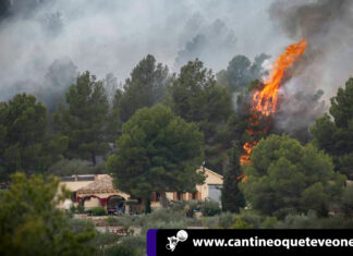 Incendio forestal entre el Perelló y Rasquera devasta 200 hectáreas incendio en perellón devasta 200 hectareas