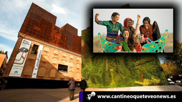 cantineo-web-Noches-de-verano-cine,-música-y-palabra-en-el-centro-cultural-de-Madrid noches de verano-madrid-cantineoqueteveonews