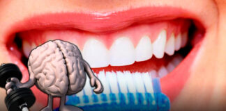 ¿Sabías que? Cepillarse los dientes retrasa el Alzheimer Cantineoqueteveonews - ¿Es necesario cepillarse los dientes tres veces al día?; hacerlo no es sólo una cuestión de estética sino también de..