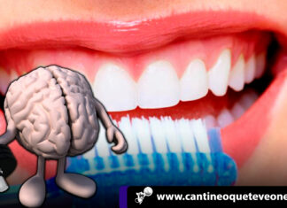 ¿Sabías que? Cepillarse los dientes retrasa el Alzheimer Cantineoqueteveonews - ¿Es necesario cepillarse los dientes tres veces al día?; hacerlo no es sólo una cuestión de estética sino también de..