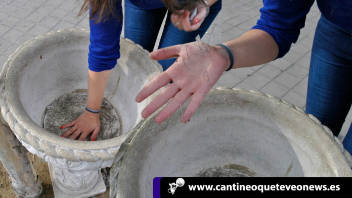 Cantineoqueteveonews - Los alfileres de san Antonio es una tradición;que comenzó en Madrid en el siglo XIX, esta tradicion cuenta.....