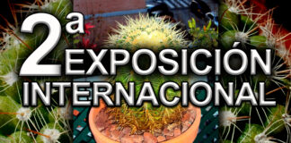 En Madrid se celebra la II exposición Internacional de Cactus Exposición de cactus-madrid-cantineoqueteveonews