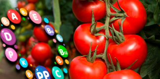 Cantineoqueteveonews - El tomate es rico en vitaminas y minerales y benefisioso para nuestra salud