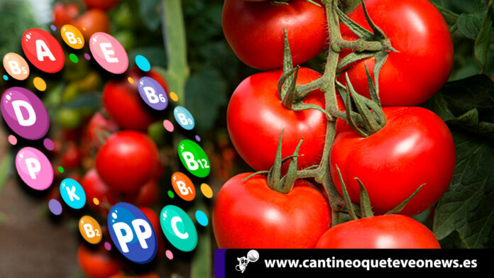Cantineoqueteveonews - El tomate es rico en vitaminas y minerales y benefisioso para nuestra salud