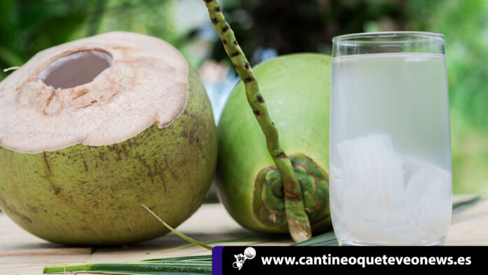¡Salud! el agua de coco tres veces por semana para cuidar tu cuerpo 2