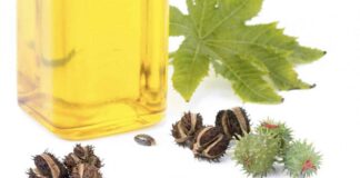 Importancia del Aceite de Ricino con propiedades para nuestra piel y cabello Cantineoqueteveo News - Aceite de Ricino