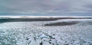 Cantineoqueteveo News - Antártida pierde capas hielo