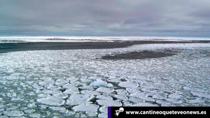 Cantineoqueteveo News - Antártida pierde capas hielo