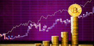 El precio del Bitcoin, muestra tendencia alcista en el mercado criptográfico Cantineoqueteveo News - El precio del Bitcoin