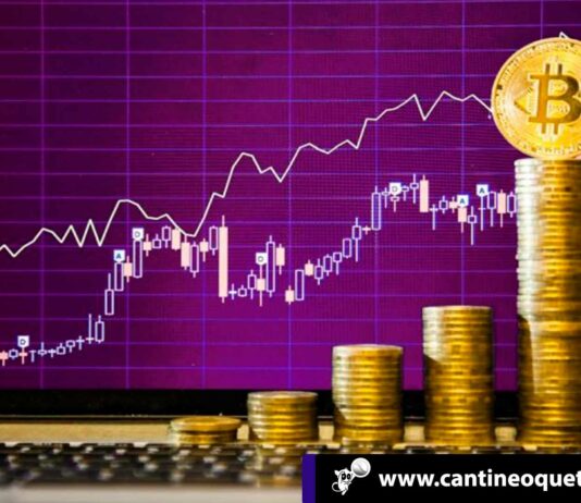 El precio del Bitcoin, muestra tendencia alcista en el mercado criptográfico Cantineoqueteveo News - El precio del Bitcoin