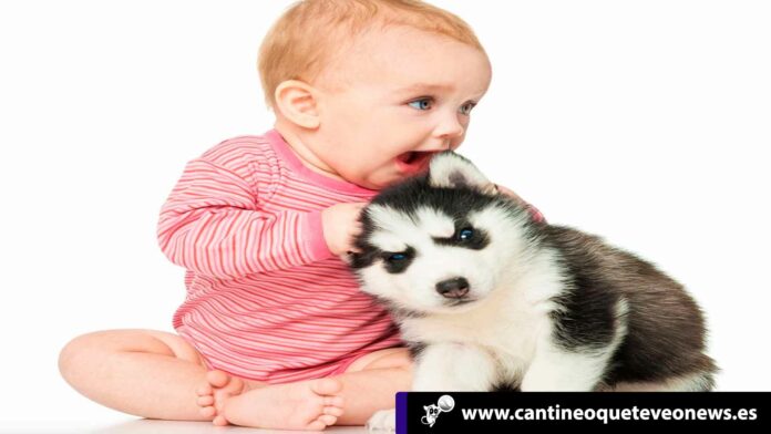 Cantineo-WEB-En-Georgia-muere-bebé-de-tres-semanas-de-nacida-por-mordida-de-perro Cantineoqueteveo News - Muere georgia bebe dos semanas