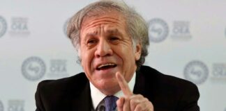 «Hezbolá debe ser un grupo terrorista» solicita Almagro ante la OEA Cantineoqueteveo News - Hezbolá grupo terrorista