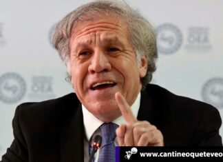 «Hezbolá debe ser un grupo terrorista» solicita Almagro ante la OEA Cantineoqueteveo News - Hezbolá grupo terrorista