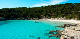 El verano en España es para disfrutar del fondo submarino mediterráneo Cantineoqueteveo News - Verano en España
