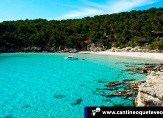 El verano en España es para disfrutar del fondo submarino mediterráneo Cantineoqueteveo News - Verano en España