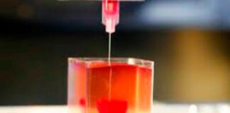 Descubre como es el primer corazón impreso en 3D con tejido humano Cantineoqueteveo News - Corazón impreso en 3D