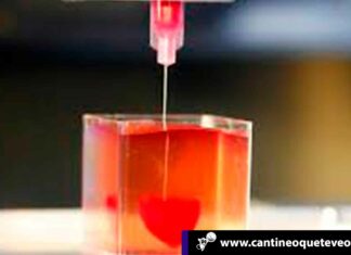 Descubre como es el primer corazón impreso en 3D con tejido humano Cantineoqueteveo News - Corazón impreso en 3D