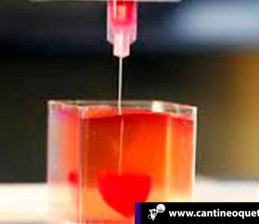 Descubre como es el primer corazón impreso en 3D con tejido humano Cantineoqueteveo News - Corazón impreso en 3D