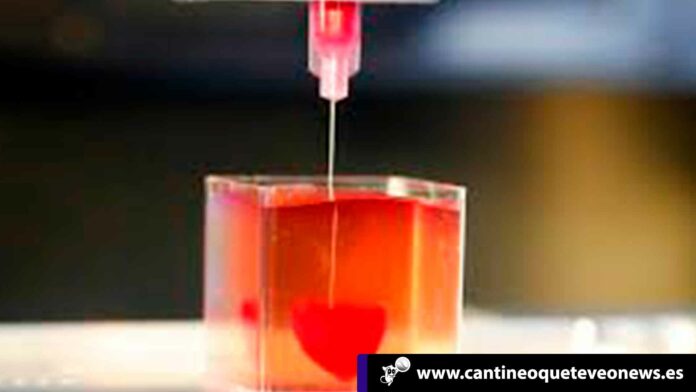 Cantineo-WEB-corazon-impreso-en-3D Cantineoqueteveo News - Corazón impreso en 3D