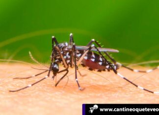 Epidemia de dengue en Honduras con más 23.000 personas infectadas Cantineoqueteveo News - epidemia dengue honduras