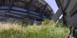 Grama de los estadios en la Copa América se ganaron críticas