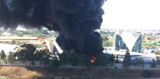 Incendio en el Oceanográfic de Valencia obligó a desalojar turistas