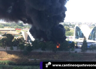 Incendio en el Oceanográfic de Valencia obligó a desalojar turistas