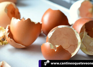 ¡Milagrosas! Conoce los beneficios de la cascara de huevo