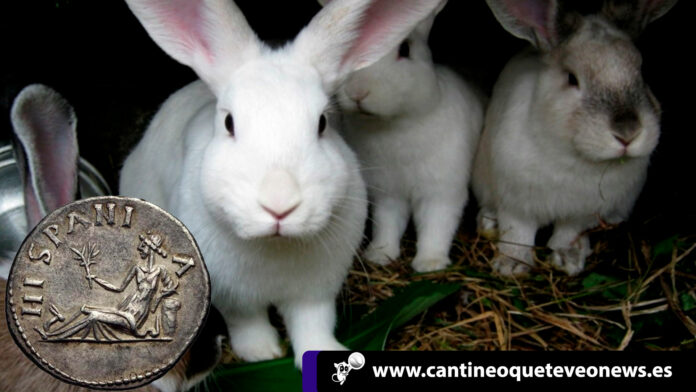 Historia de los gazapos en España gazapos en España - Cantineoqueteveonews