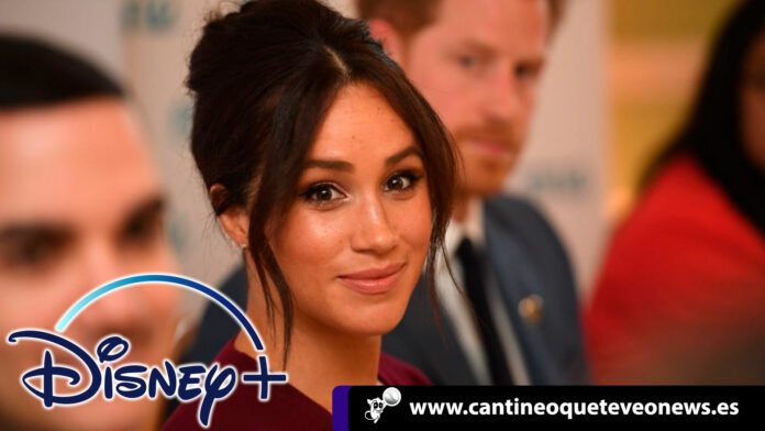 Meghan Markle en Disney ayudará a los elefantes en África. Meghan Merkle Disney elefantes - Cantineoqueteveonews