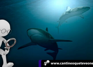 Revistas científicas depredadoras pescan investigadores en español revistas científicas en español depredadoras - Cantineoqueteveonews