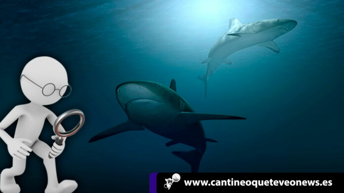 Las denuncias sobre revistas científicas en español trasnformadas en depredadoras son muy comunes. revistas científicas en español depredadoras - Cantineoqueteveonews