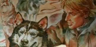 El darwinismo en las historias de perros de Jack London El darwinismo - Cantineoqueteveonews