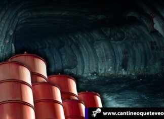 Las cuevas de sal que brotaron por la pandemia ahora tienen petróleo Cuevas de sal - Cantineoqueteveonews