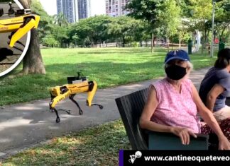Perros robots - Cantineoqueteveonews