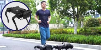 Conoce a Unitree A1, el perro robot que puede ser tu mejor amigo Unitree A1 - Cantineoqueteveonews