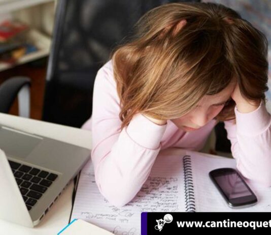 El mundo online aviva desigualdades en los escolares Mundo online - Cantineoqueteveonews