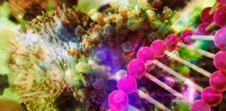 Mutaciones de la pandemia por millares las rastrean en tiempo real Mutaciones de la pandemia - Cantineoqueteveonews