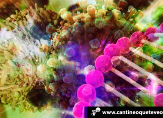 Mutaciones de la pandemia - Cantineoqueteveonews