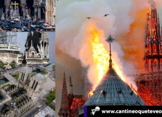 Notre Dame revela entre las cenizas sus recónditos secretos Notre Dame - Cantineoqueteveonews