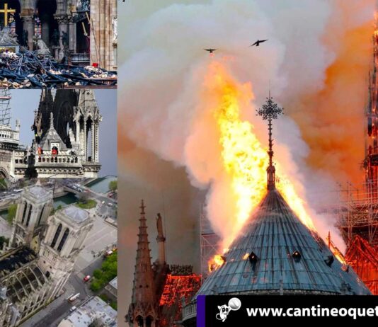 Notre Dame revela entre las cenizas sus recónditos secretos Notre Dame - Cantineoqueteveonews